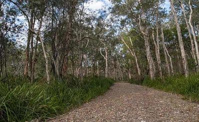 Googik Heritage Walking Track