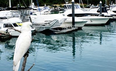 Exploring the Whitsunday Islands