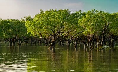 Charles Darwin National Park