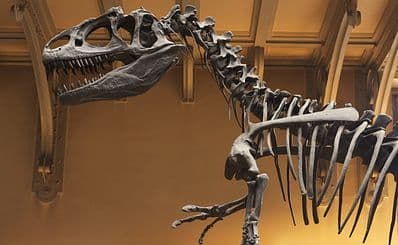Hongkongs Naturvetenskapliga Museet