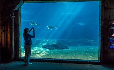 The Cargo Hold Restaurant