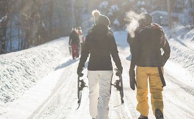 Alpine Guided Tours