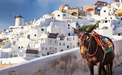 Donkey Ride
