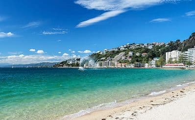 Oriental Bay