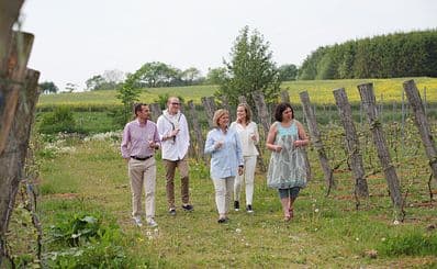 Vineyards