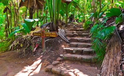 Vallée de Mai
