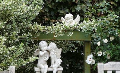 Giovannis Garden