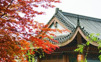 Qixia Mountain / 栖霞山