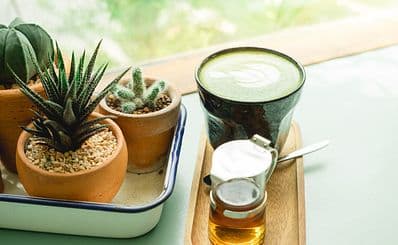 Capulus Coffee