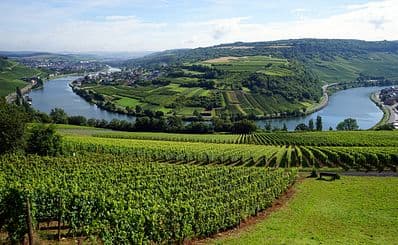 Moselle Valley
