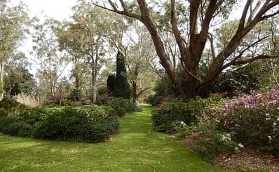 Hunter Region Botanic Gardens