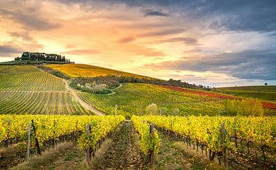 The Chianti Region