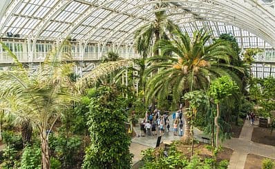 Kew Gardens