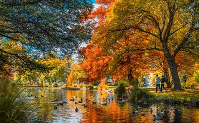 Best Time to Visit