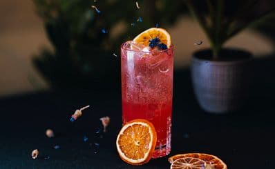GinGin Cibeles