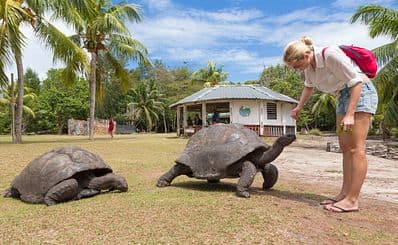 Curieuse Island Tortoise Farm