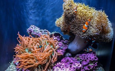 Seattle Aquarium