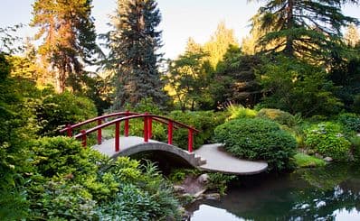 Kubota Garden