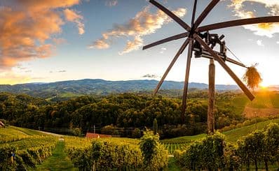 Wine Roads