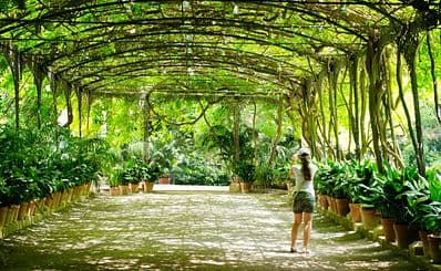 Botanical Garden