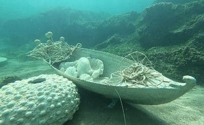 Snorkeling Park