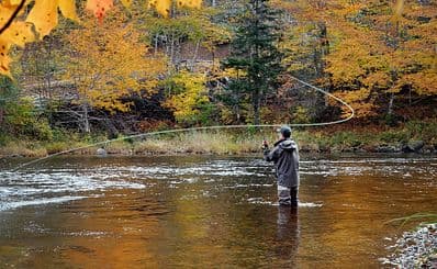 Matt Heron Fly Fishing