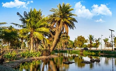 Yanbu Lakes