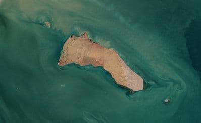 Failaka Island