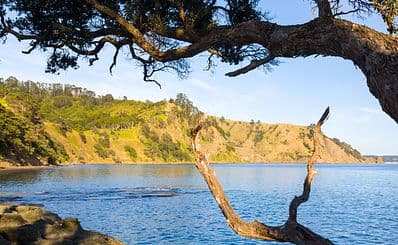 Goat Island Marine Reserve