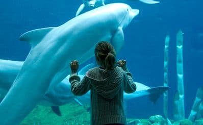 Nuremberg Zoo