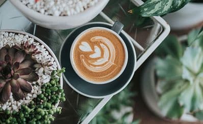 Lion & Lamb Coffee Roasters
