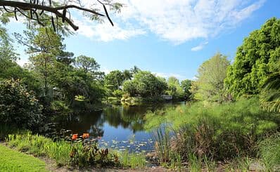 Mounts Botanical Garden