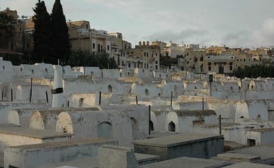 Jewish Cemetery & Habarim Synagogue