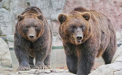 Zoo Brno