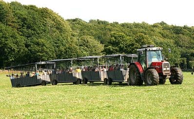 Sheep Farm Öströö