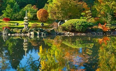 Ogrod Japonski (Japanese Garden)
