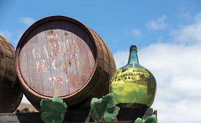 Bodegas Teneguia
