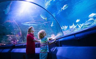 SEA LIFE Helsinki