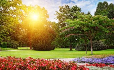 Subhash Bose Park