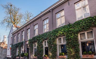 Den Gouden Harynck