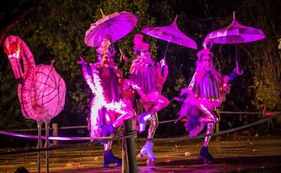 Lanterns & Light at Chester Zoo (November & December)