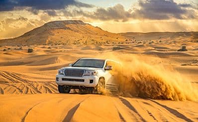 Desert Safaris
