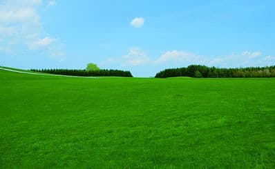 Moerenuma Park