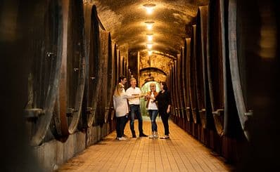 Vinag wine cellar