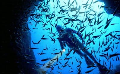 Diving