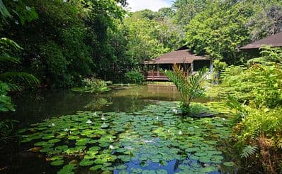 Sungei Buloh Reserve