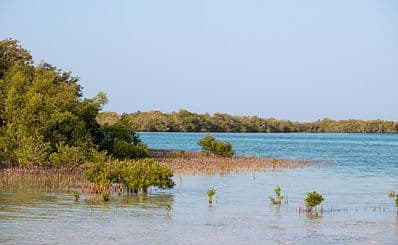 Nabq Nature Reserve