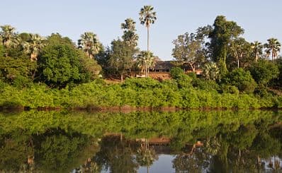 River Gambia National Park