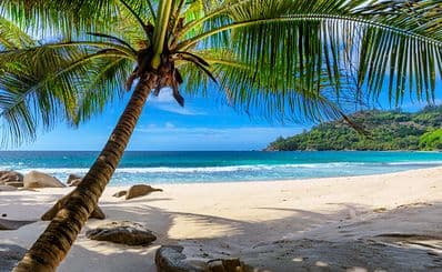 Paradise Beach