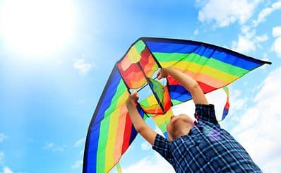 The Kite Company